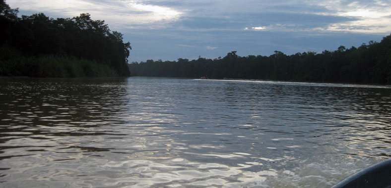 Kinabatangan